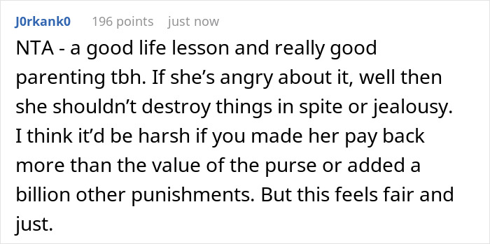 A Reddit comment offering parenting advice regarding the stepsister's slashed designer purse and making her pay. A Reddit comment offering parenting advice regarding the stepsister's slashed designer purse and making her pay.