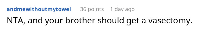 A Reddit comment stating NTA and recommending a vasectomy for the guy having a 6th kid with his SAHM wife. A Reddit comment stating NTA and recommending a vasectomy for the guy having a 6th kid with his SAHM wife.