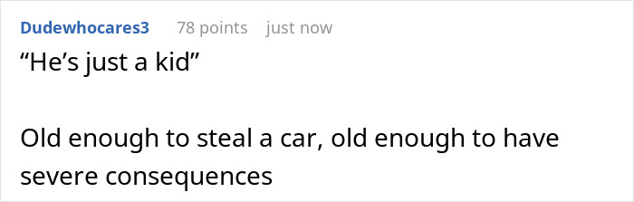 A Reddit comment stating that someone old enough to steal a car is old enough to face severe consequences.