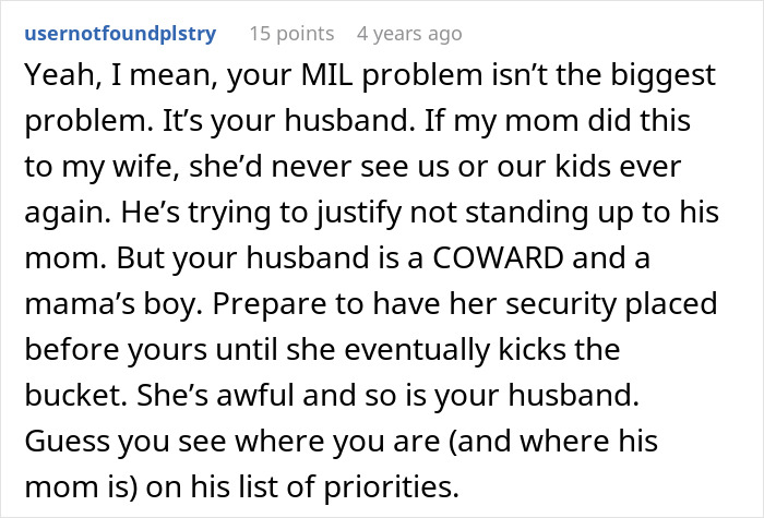 A Reddit comment discusses the DIL's husband being a mama's boy, affecting the plan to make DIL have kids.