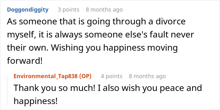 A screenshot with comments about a woman feeling like the third wheel, offering support during a divorce. A screenshot with comments about a woman feeling like the third wheel, offering support during a divorce.