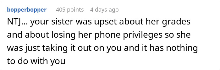 A screenshot of a comment suggesting the teen sister crying was due to grades and phone privileges, not the birthday dinner.