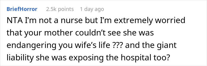 Reddit comment about mom's inappropriate nurse mode during DIL's delivery and angry son's response.