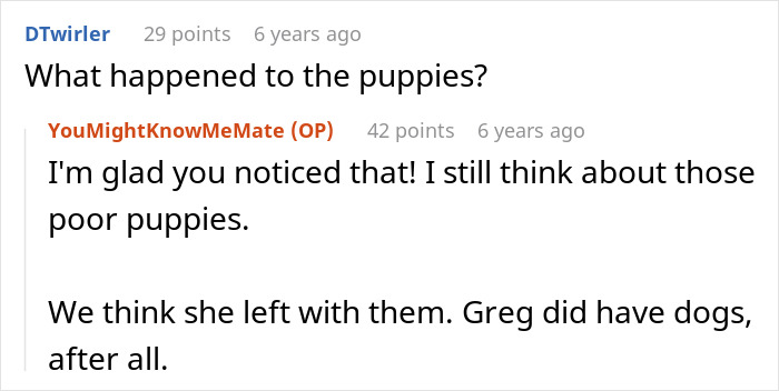 A screenshot showing comments about a woman's nightmare neighbor, specifically asking and replying about what happened to the puppies.