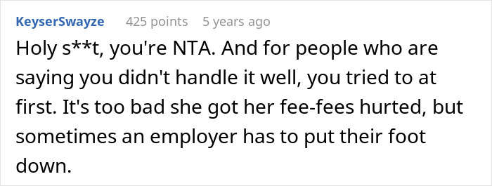 A comment stating the mom is NTA in the nanny employer situation, emphasizing an employer needs to set boundaries.