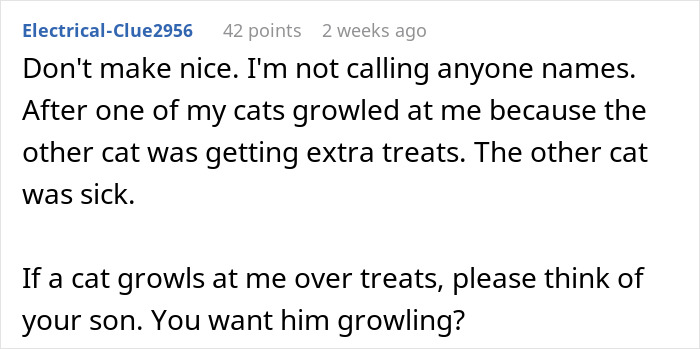 Woman Lets Her Husband Go Hard On His Ex-In-Laws After Her Son Starts Asking Painful Questions
