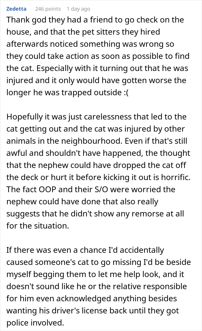 A comment detailing the ordeal of a house sitter, a lost cat, and the owners worry.