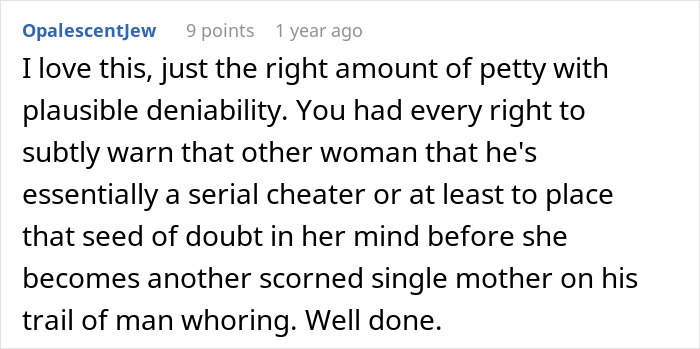 A screenshot of a comment about a serial cheater and his secret kid being revealed by his SIL. A screenshot of a comment about a serial cheater and his secret kid being revealed by his SIL.