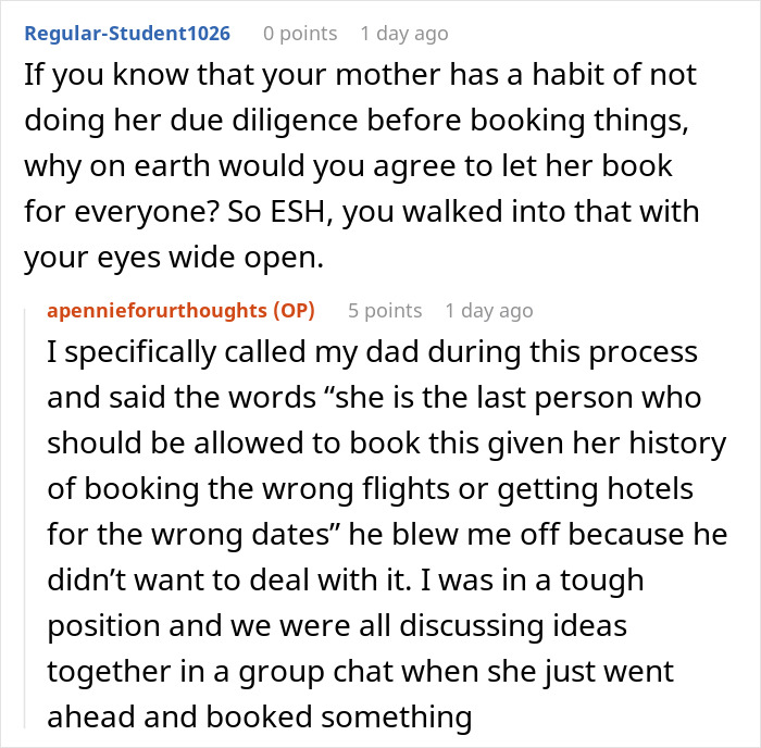 Reddit comment about a mom's travel plans. User explains a discussion about the mom's history of bad booking for family travel.