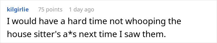A Reddit comment expressing frustration with a house sitter after a negative experience.