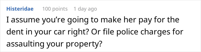 A comment questioning if the sister will pay for car damage or face police charges after family drama. A comment questioning if the sister will pay for car damage or face police charges after family drama.