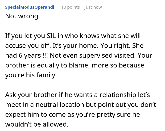 A comment on Delulu Mom who keeps Dad's family away from kid, about SIL and brother being to blame.