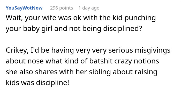 A screenshot of a Reddit comment questioning a wife's reaction to her nephew punching their baby daughter.