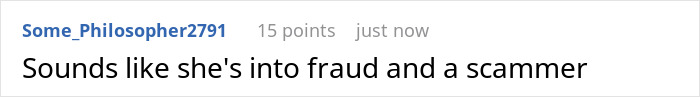 A comment calling the travel influencer a fraud and a scammer for lying about solo trips and budget. A comment calling the travel influencer a fraud and a scammer for lying about solo trips and budget.