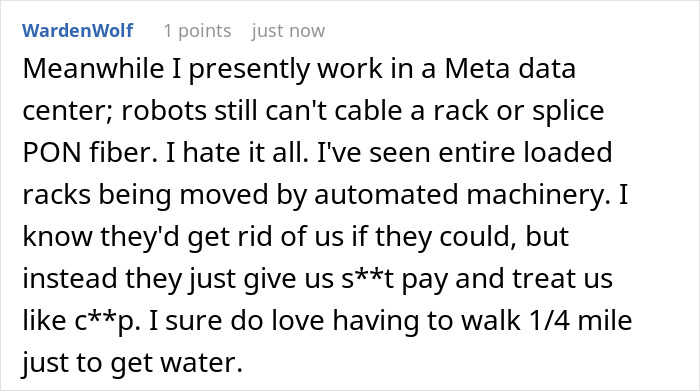 A comment about AI replacing Meta employees, from a Meta data center worker saying robots cannot cable racks. A comment about AI replacing Meta employees, from a Meta data center worker saying robots cannot cable racks.