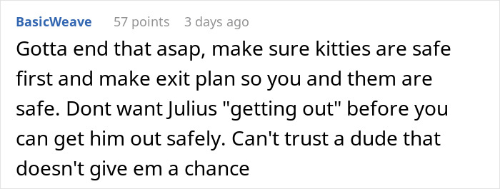 A Reddit comment advises ending an engagement if a fiancé issues an ultimatum about a cat, prioritizing the cat's safety. A Reddit comment advises ending an engagement if a fiancé issues an ultimatum about a cat, prioritizing the cat's safety.