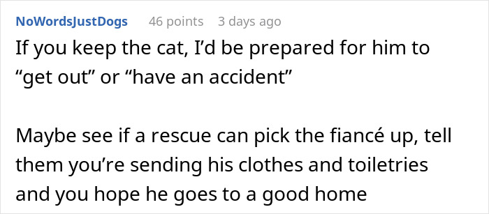 A Reddit comment suggests preparing for a cat to 'get out' or 'have an accident' if a fiancé issues an ultimatum. A Reddit comment suggests preparing for a cat to 'get out' or 'have an accident' if a fiancé issues an ultimatum.