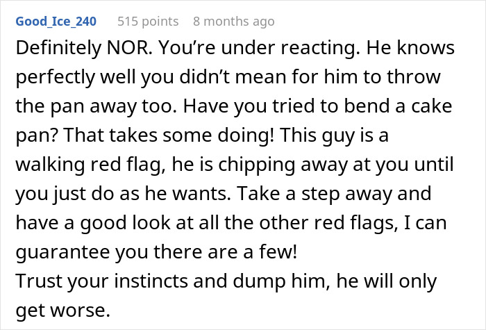 A comment from Good_Ice_240 about the boyfriend's behavior with the pan, calling him a red flag and advising to dump him.