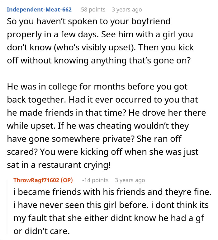 A screenshot of a Reddit comment from Independent-Meat-662 giving their take on the cheating ex.