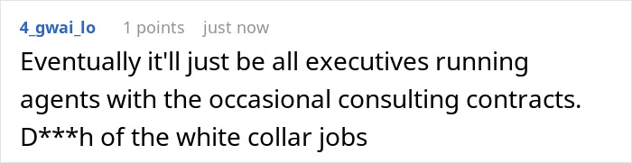 A screenshot showing a Reddit comment about AI replacing white-collar jobs, following the ex-Meta worker's experience. A screenshot showing a Reddit comment about AI replacing white-collar jobs, following the ex-Meta worker's experience.