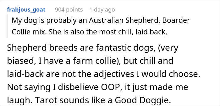 A comment from frabjous_goat discusses dog breeds and the service dog issue at the wedding.