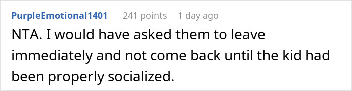 A screenshot of a Reddit comment advising to remove family members if a nephew punches a baby daughter.