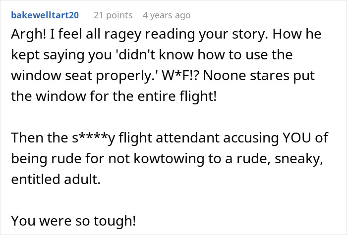 A comment from 'bakewelltart20' expressing anger about the man trying to steal a child's window seat on a flight and a rude flight attendant. A comment from 'bakewelltart20' expressing anger about the man trying to steal a child's window seat on a flight and a rude flight attendant.