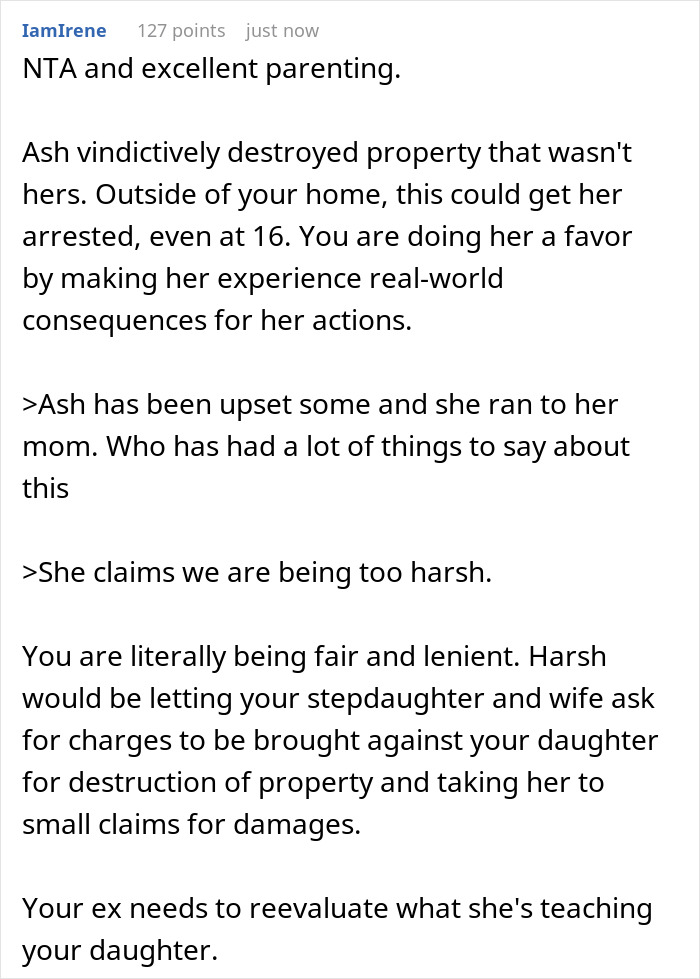 A Reddit comment explaining that making a daughter pay for a slashed designer purse is excellent parenting. A Reddit comment explaining that making a daughter pay for a slashed designer purse is excellent parenting.