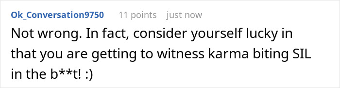 A comment on Delulu Mom who keeps Dad's family away from kid, stating karma for SIL.
