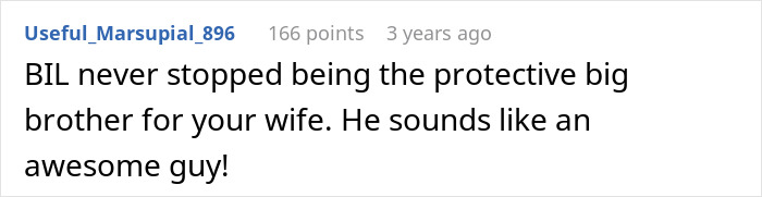 Screenshot of a comment describing the brother as a protective big brother, ensuring his sister receives her inheritance. Screenshot of a comment describing the brother as a protective big brother, ensuring his sister receives her inheritance.