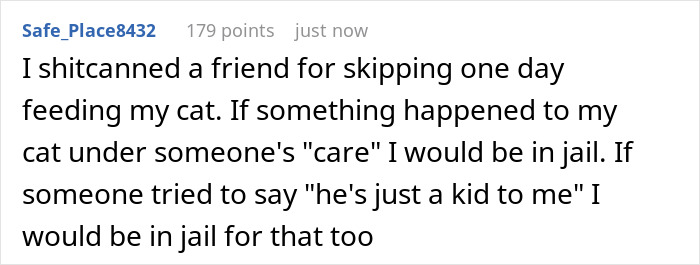 A Reddit comment discussing severe repercussions for a house sitter if a lost cat were in their care.