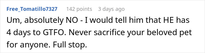 A Reddit comment advising a bride-to-be against sacrificing her pet cat after her fiancé issues an ultimatum. A Reddit comment advising a bride-to-be against sacrificing her pet cat after her fiancé issues an ultimatum.