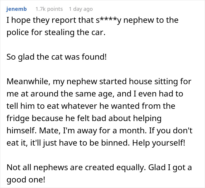 A comment about a house sitter stealing a car and a lost cat being found.