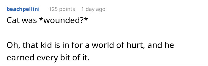 A Reddit comment highlighting the gravity of a house sitter causing a lost and wounded cat.