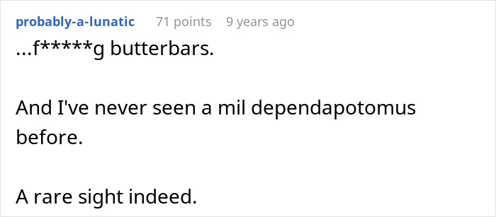 MIL Tries To Pull Rank On Bride's Dad Using Her Lieutenant Son, Gets Shut Down By His Captain Son