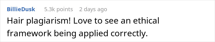 A comment from a user named BillieDusk offering advice on ethical frameworks, mentioning hair plagiarism.