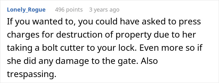 Reddit comment about pressing charges for destruction of property and trespassing due to the aunt's mistake.