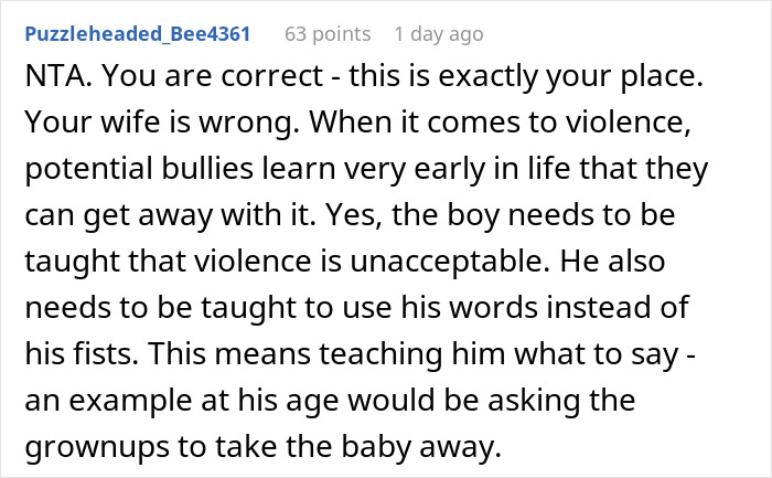 A screenshot of a comment explaining that the man is right to punish nephew for punching baby daughter.