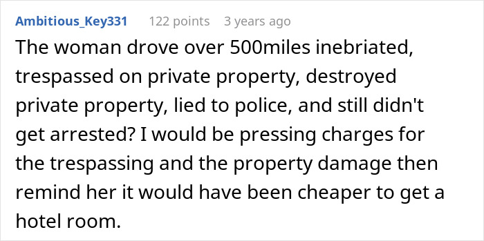 A comment detailing the aunt's actions: driving inebriated, trespassing, property damage, and lying to police, emphasizing her mistake.