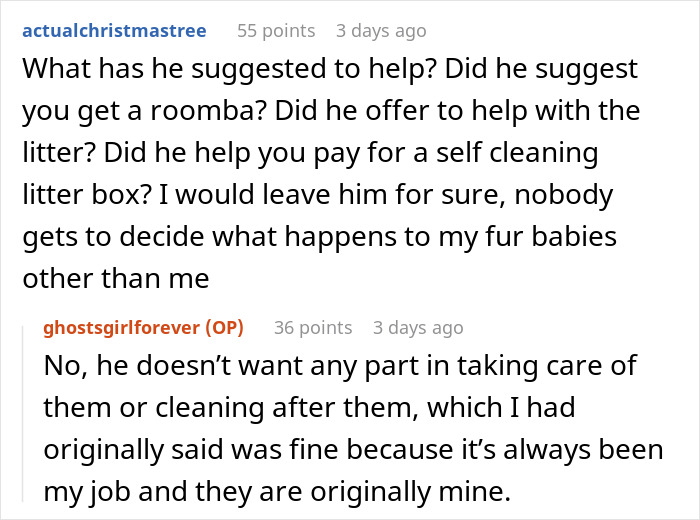 A screenshot of a Reddit post where a bride-to-be questions her engagement after her fiancé issues an ultimatum about her cat. A screenshot of a Reddit post where a bride-to-be questions her engagement after her fiancé issues an ultimatum about her cat.