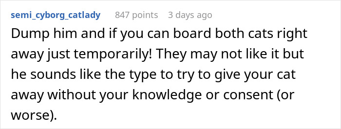 A screenshot of a Reddit comment advising the bride-to-be to dump him and board her cats temporarily, fearing for the cats safety. A screenshot of a Reddit comment advising the bride-to-be to dump him and board her cats temporarily, fearing for the cats safety.