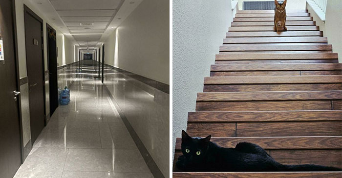 109 Photos That Completely Confused People Until They Looked A Little Closer