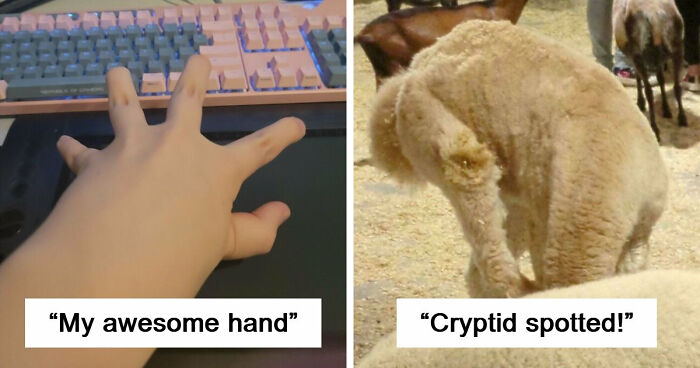 109 Photos That Completely Confused People Until They Looked A Little Closer