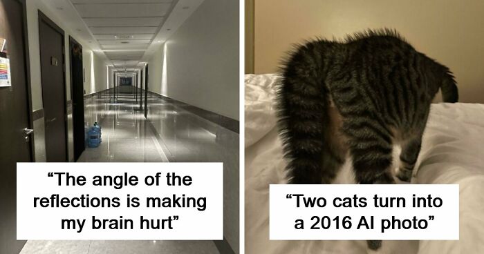 109 Photos That Completely Confused People Until They Looked A Little Closer