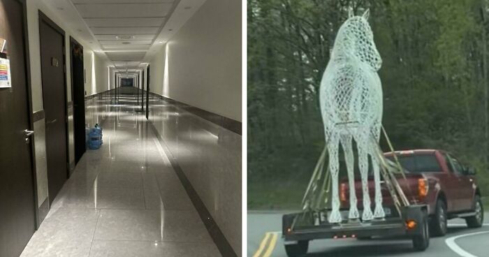 109 Photos That Completely Confused People Until They Looked A Little Closer