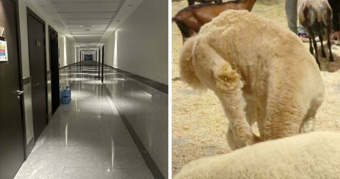 109 Photos That Completely Confused People Until They Looked A Little Closer