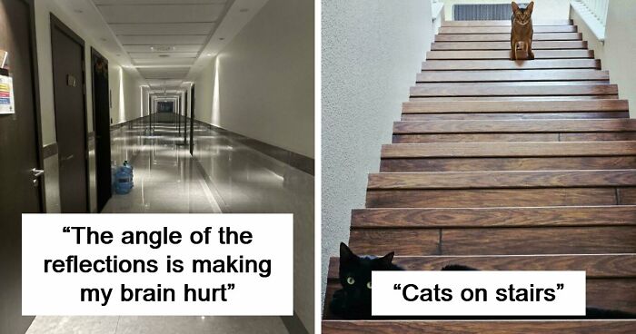 109 Photos That Completely Confused People Until They Looked A Little Closer