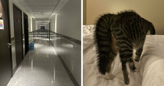 109 Photos That Completely Confused People Until They Looked A Little Closer