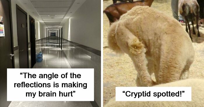 109 Photos That Completely Confused People Until They Looked A Little Closer