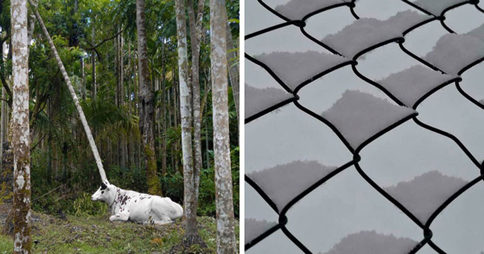 116 Perspective Photos That Reveal How Easily Our Eyes Can Be Fooled (New Pics)